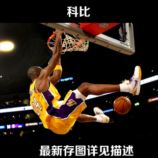 会计专业的学位证书